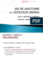 CURS_4 Emisfere Cerebrale-SNV