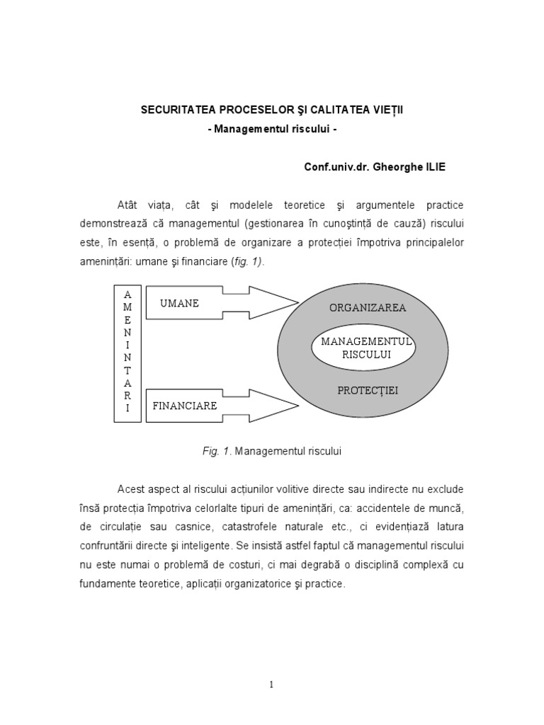 Managementul Riscului | PDF