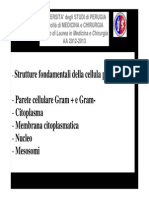 10.strutture Fondamentali Della Cellula Procariotica (2013) PDF