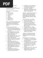 Oral Anatomy Lesson 3