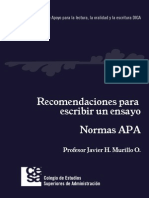 Recomendaciones Para Escribir Un Ensayo (Normas APA)