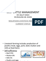 L11-Beef Cattle Management
