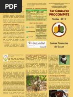 Triptico Procompite Tumbes Final