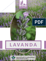 Lavanda Odgleduvanje