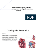 Presencia de ADN Bacteriano en El Tejido Valvular de Pacientes Con Cardiopatía Reumática Crónica