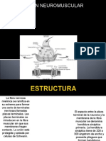 Union Neuromuscular