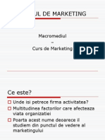 Mediul de Marketing Macromediul