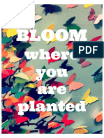 Bloom Where You Are Planted