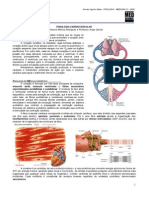 Fisiologia cardiovascular e contração muscular cardíaca