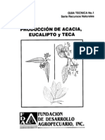 1 Produccion Acacia