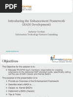 Introducing The Enhancement Framework (BADI Development) : Anthony Cecchini Information Technology Partners Consulting