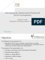 Introducing The Enhancement Framework (BADI Development) : Anthony Cecchini Information Technology Partners Consulting