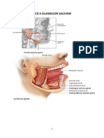 Anatomia Clinică A Glandelor Salivare