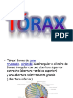 Torax