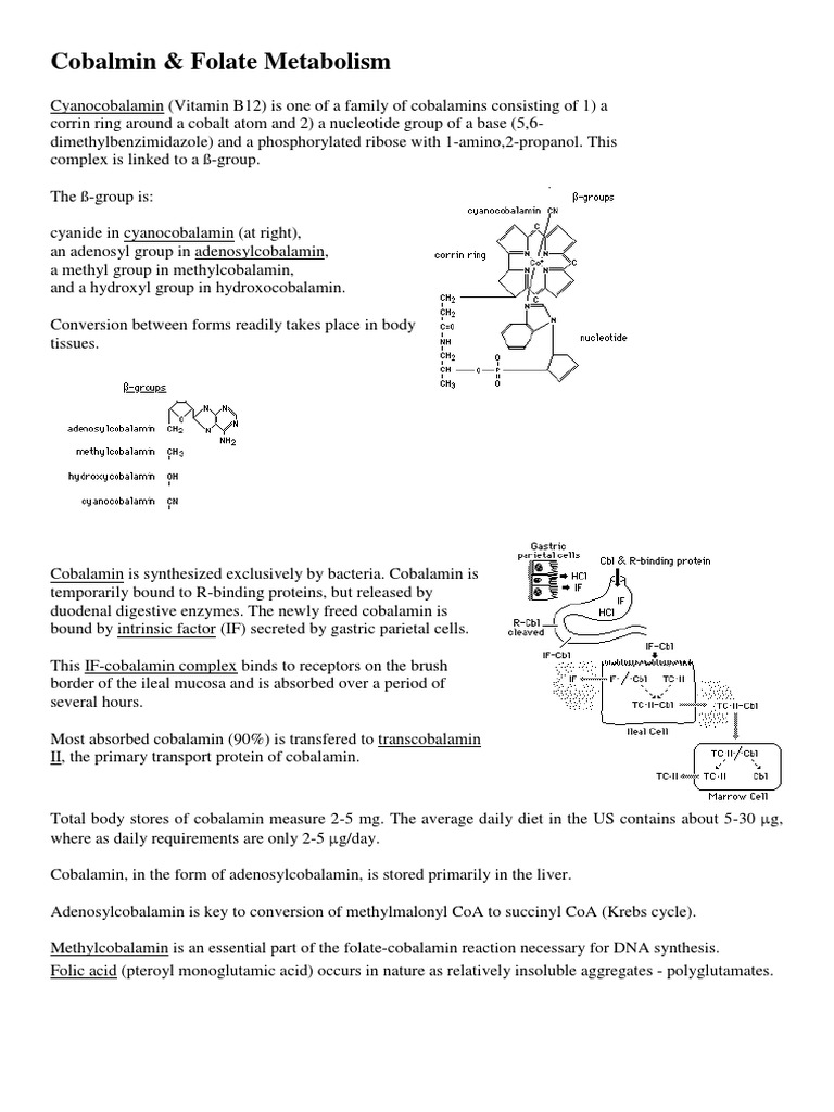 Cobalamin and Folate Metabolism Overview | PDF | Vitamin B12 | Folic Acid