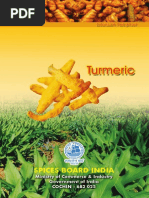 Book Turmeric