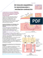 Cap 7 Guyton PDF