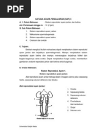 Sistem Reproduksi Ayam