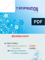 CHPT 7 Respiration