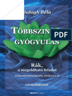 Balogh Béla: Többszintű Gyógyulás