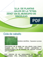 Presentacindeplantasmedicinales Cartilla 100512200223 Phpapp02