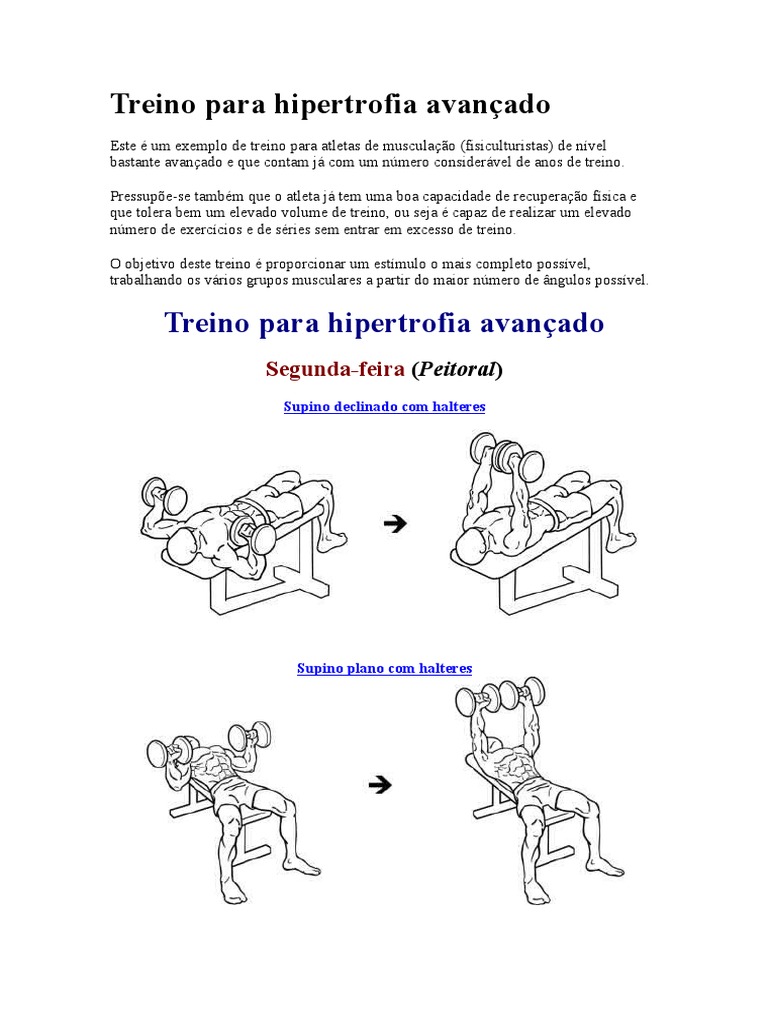 O Guia Definitivo de Musculação para Mulheres com Mais de 40 Anos, image size:768x1024