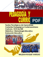 Pedagogia Curriculo Roque Vargas Willean[1]