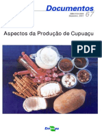 Cupuaçu 2