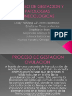 Diapositivas Proceso de Gestacion y Patologias