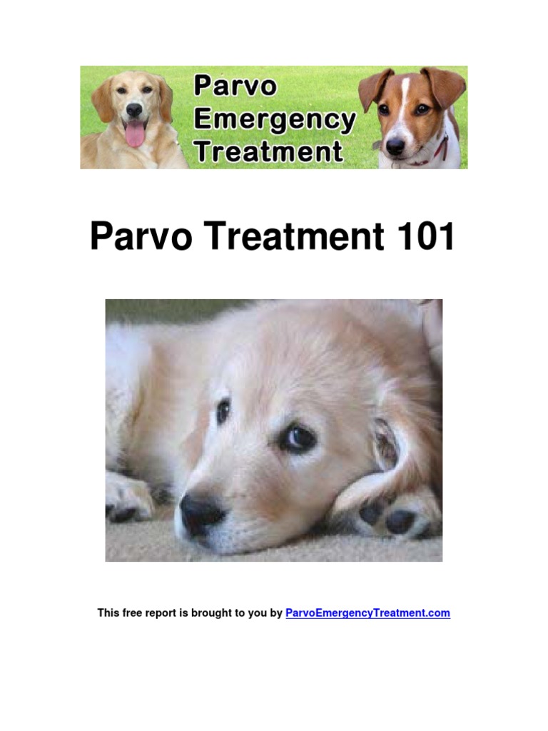 Parvo Treatment 101 PET Version v3.0 Vaccines Public Health