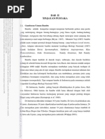 Download BAB II Tinjauan Pustaka Bambu by kacongmarcuet SN212336451 doc pdf