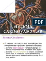 Sistema Cardiovascular