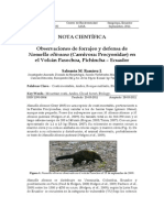 03Ramirez Forrajeo Defensa Nassuella PDF