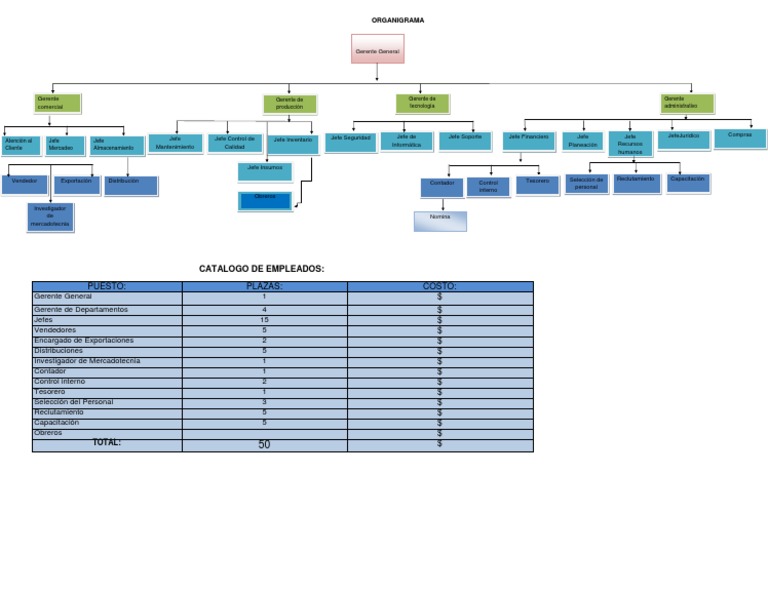 Organigrama y Catalogo de Puestos | PDF