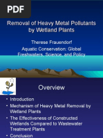 Download Removal of Heavy Metal Pollutants by Wetland Plants by jcool_dn SN21239079 doc pdf