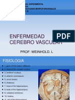 Presentacion Enfermedad Cerebrovascular Concurso