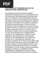 Los Principios Fundamentales de Un Derecho Penal Democratico