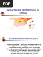 Organizarea Cntabilităţii În Spania