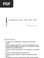 Routing Protocols - RIP OSPF BGP