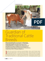 Guardian of Traditional Cattle Breeds