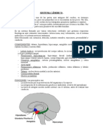 SISTEMA LÍMBICO