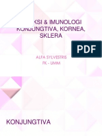 DR - Alfa - Inf & Imun Conjungtiva, Kornea, Sklera