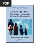 Labirintos Do Tráfico