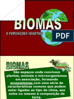BIOMAS 3