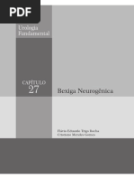 Urologia Fundamental