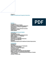 Chapter 2_WIPO Handbook