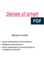 Sense of Smell