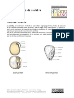 CLASE-03-Semilla-tipos-de-siembra-y-propagación