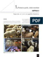 978 84 96344 51 8 - Muestra - MAT PDF