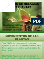 Movimiento en Plantas